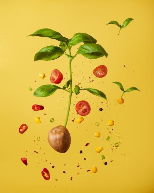 Cooking Tips for Food Enthusiasts